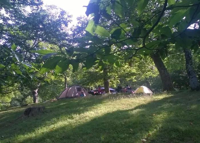 Camping Camaldoli