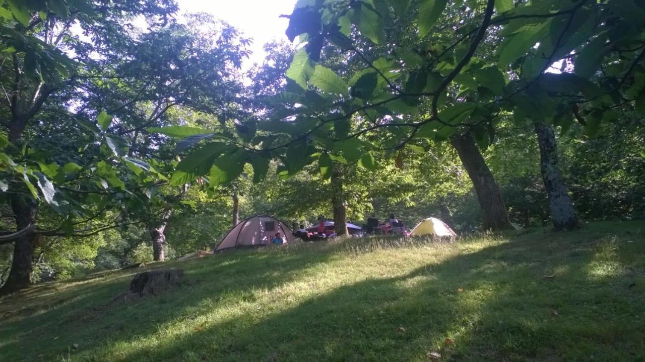 Camping Camaldoli Camping *