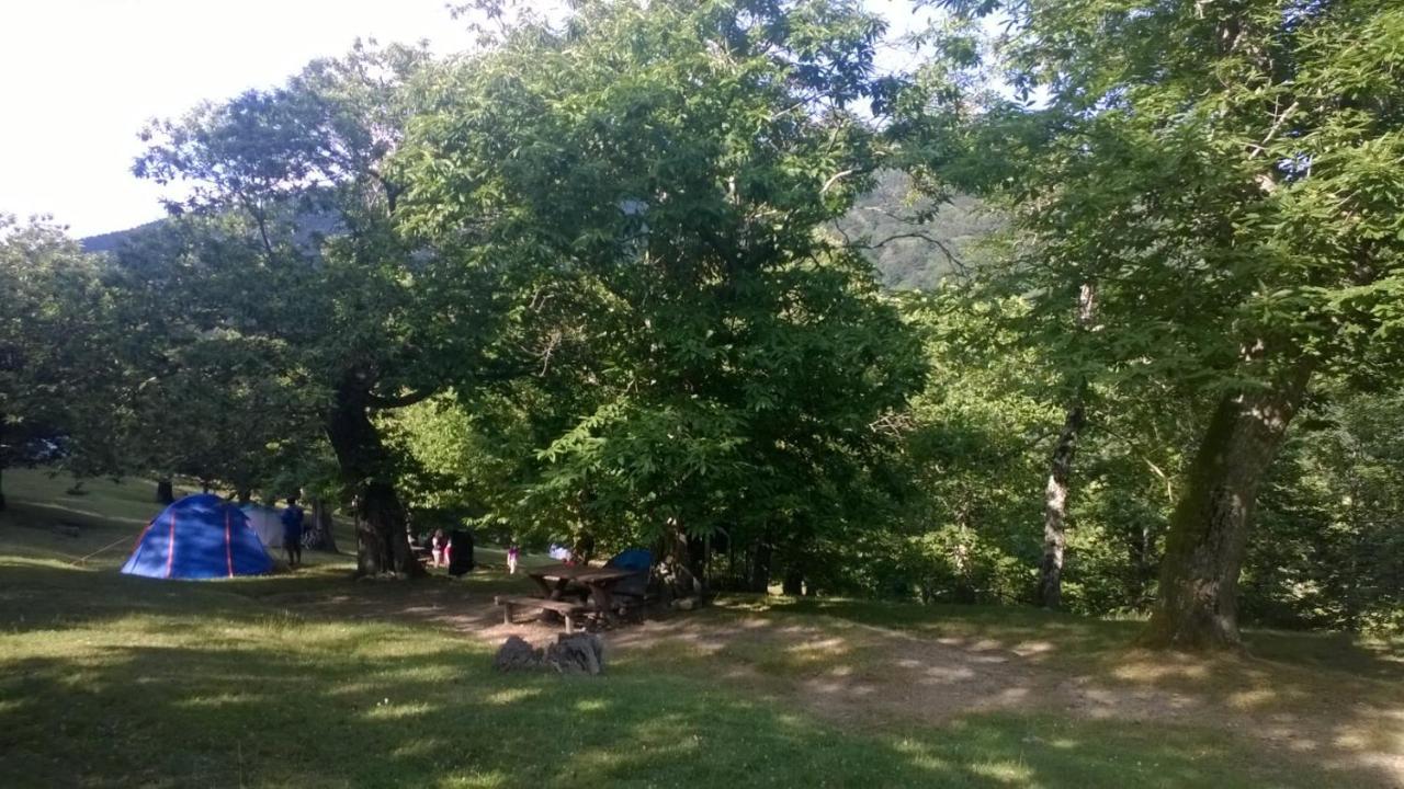 Camping Camping Camaldoli