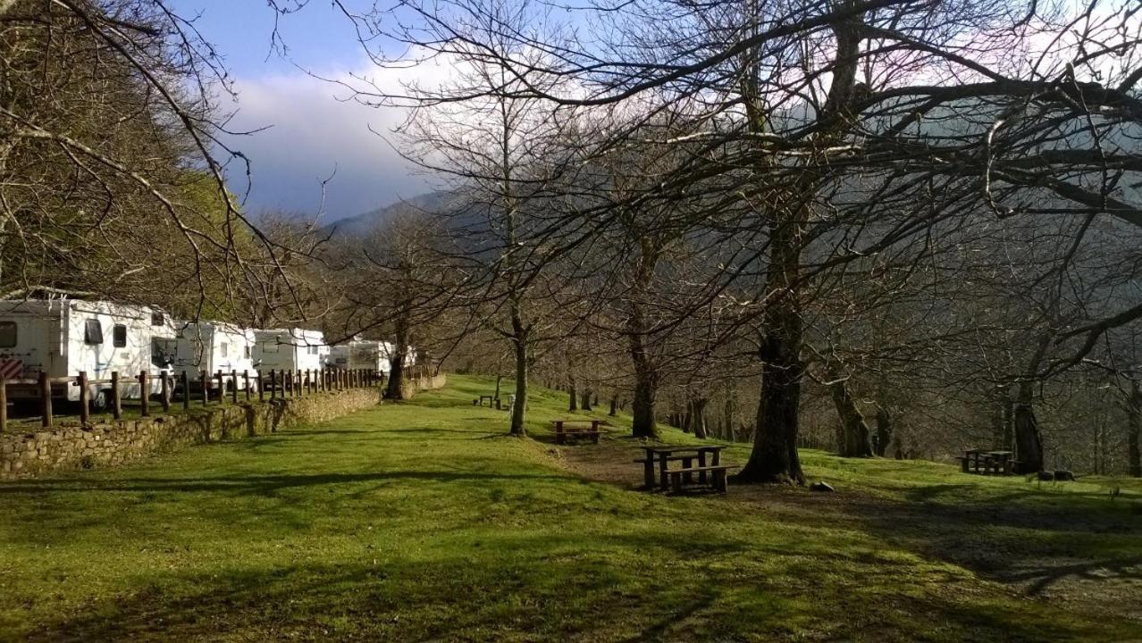 Camping Camaldoli Camping