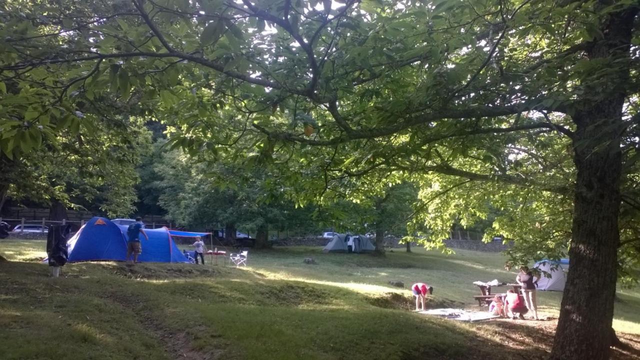 Camping Camaldoli *