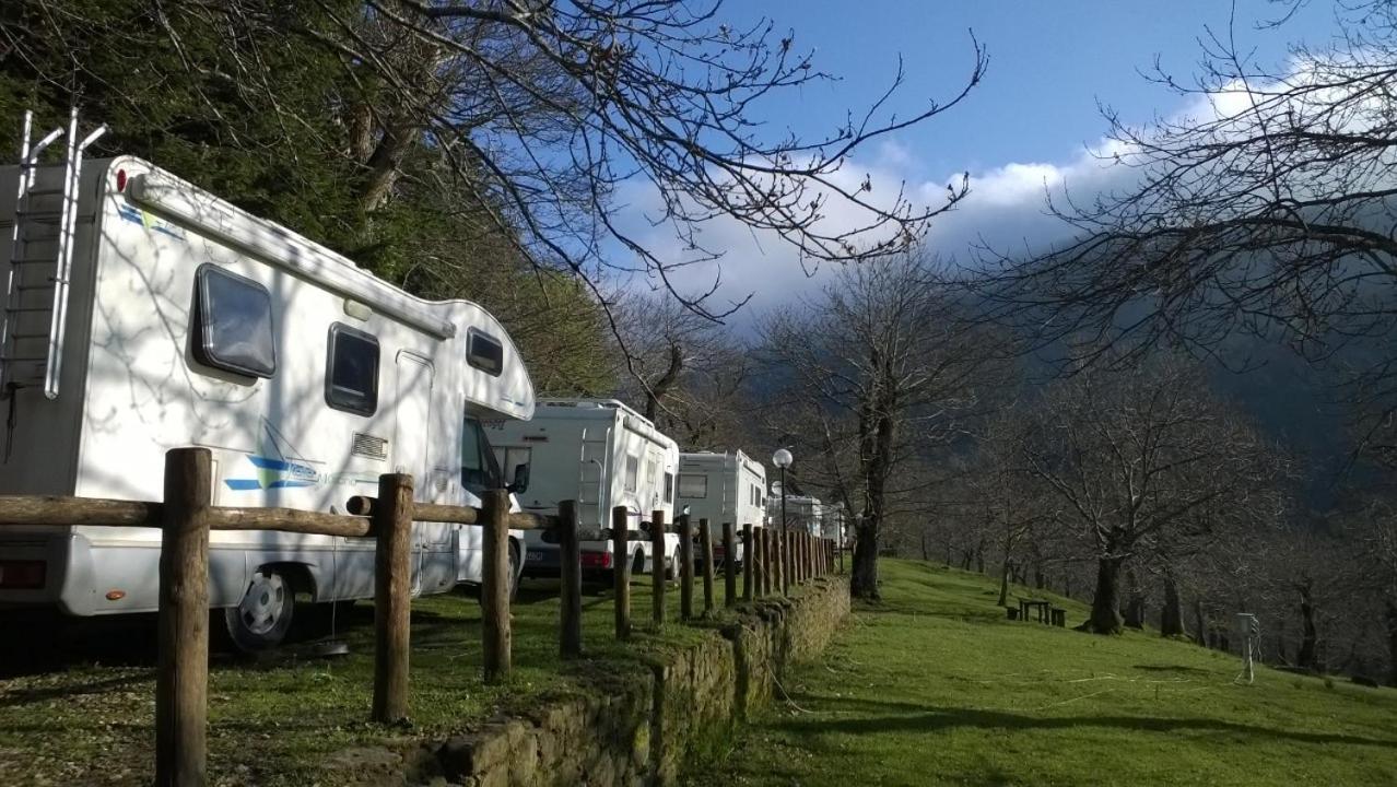 Camping Camaldoli *