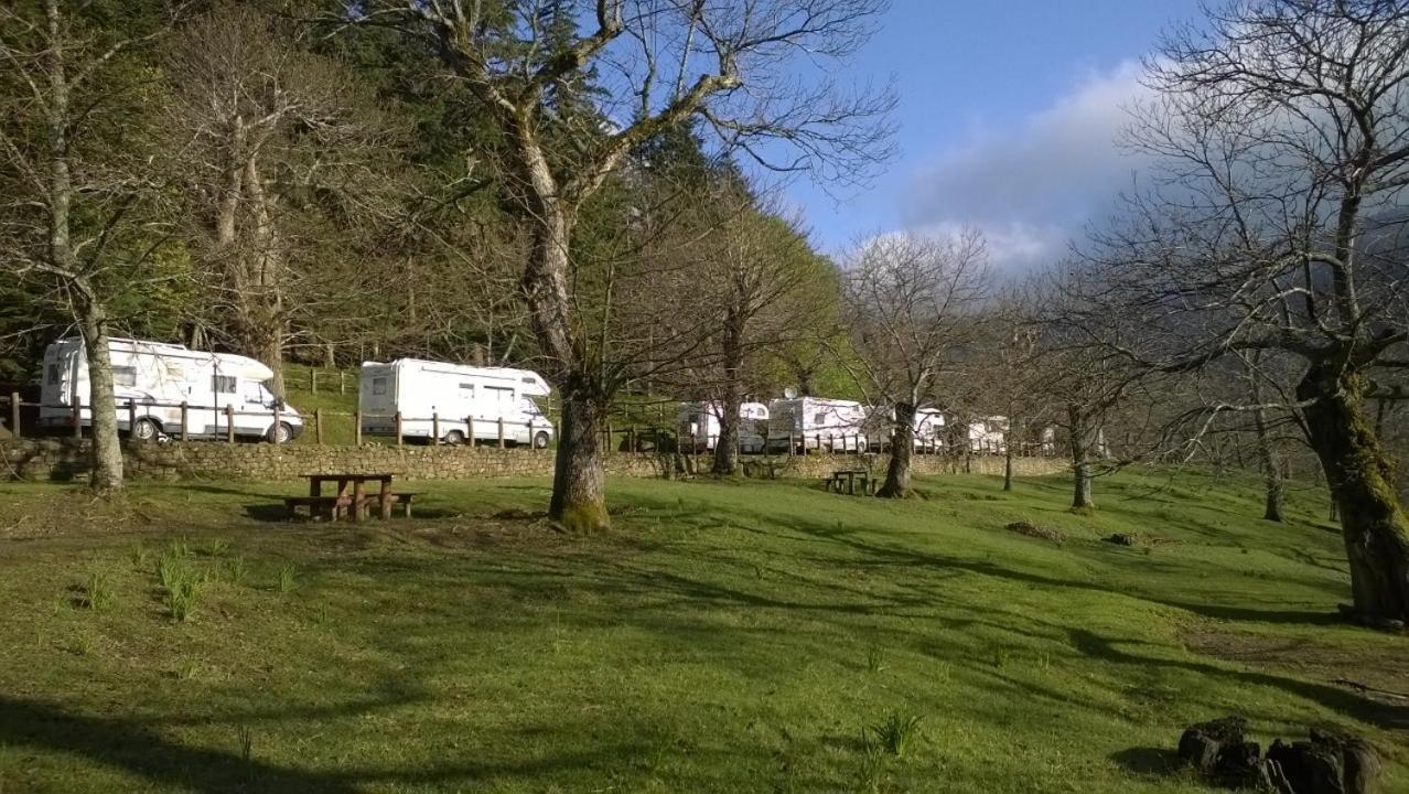 Camping Camping Camaldoli *