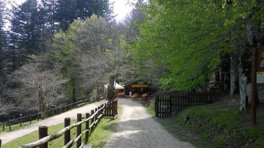 Camping Camaldoli Camping