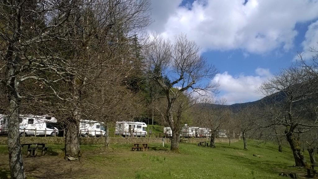 Camping Camaldoli Camping Camaldoli