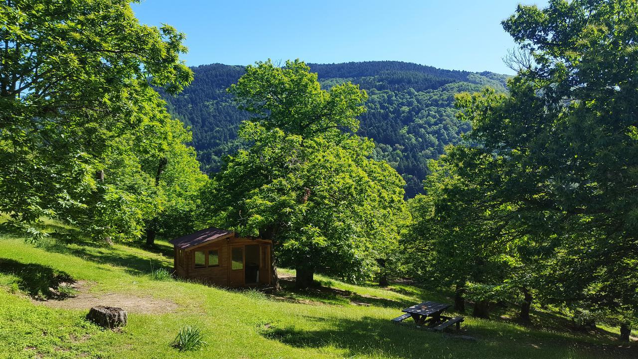 Camping Camping Camaldoli *