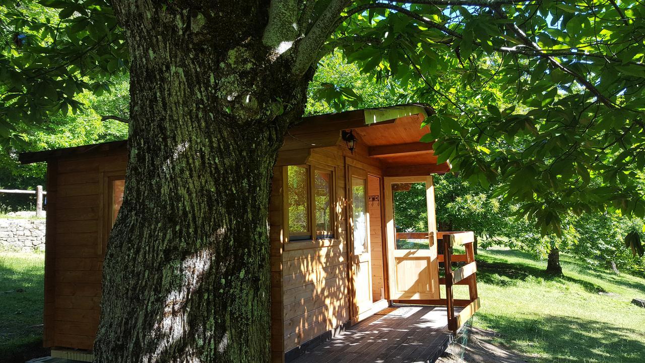 Camping Camping Camaldoli *