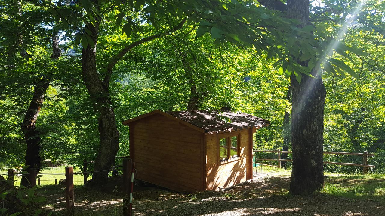 Camping Camaldoli Camaldoli